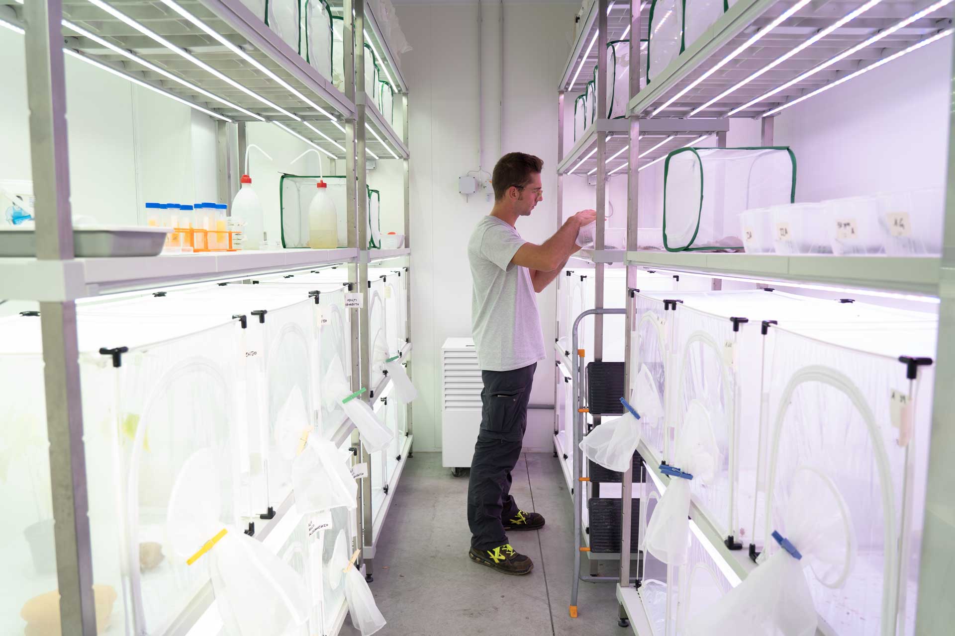 Laboratorio Agrea